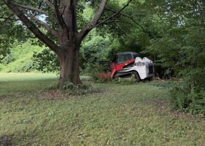 Tracked mulcher at the edge of a wooded property